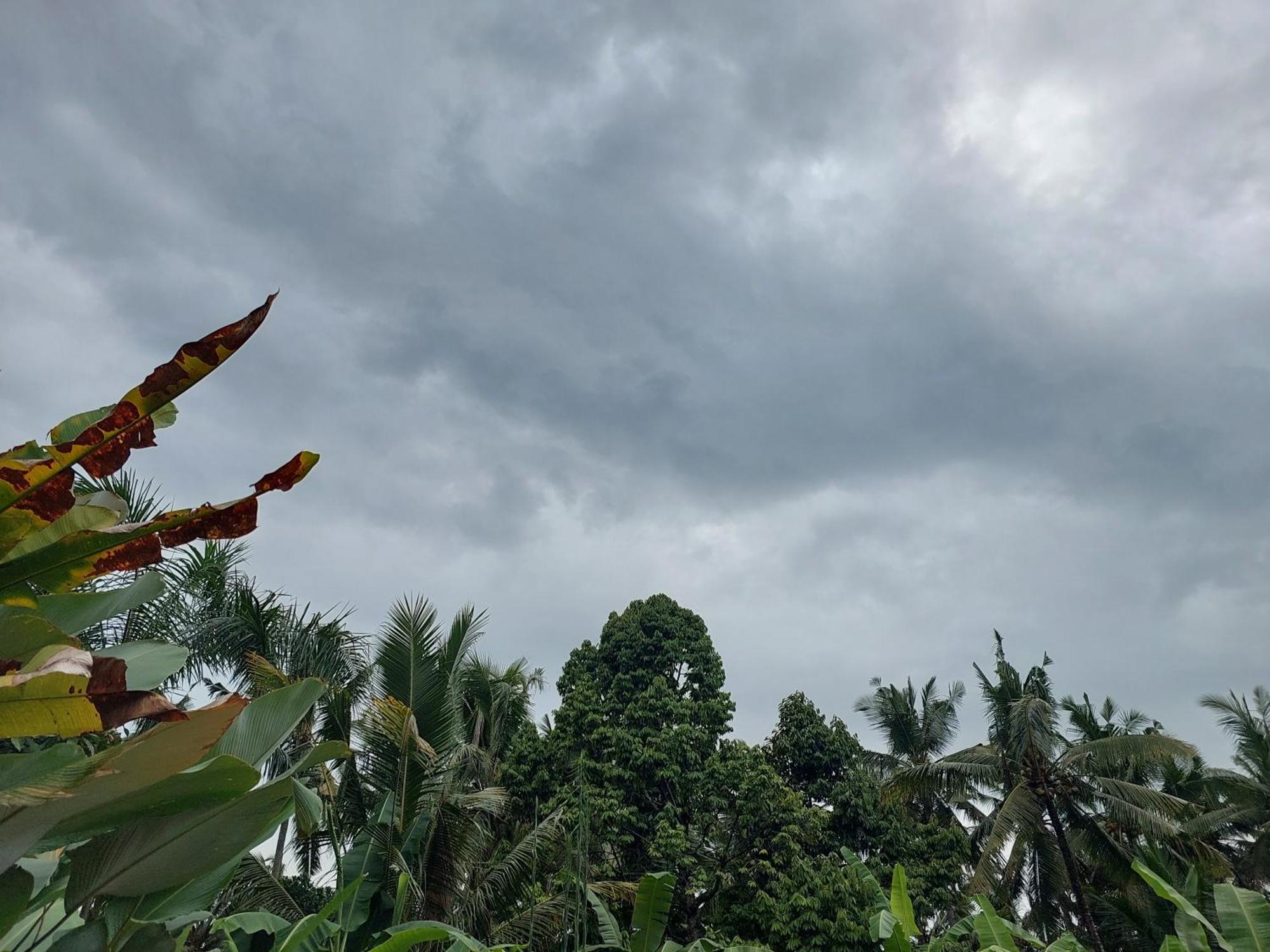 Prema Shiva Suites And Villas By Eps Ubud Dış mekan fotoğraf